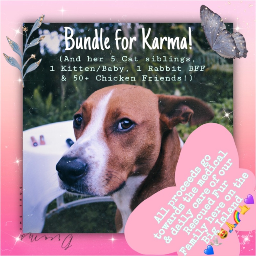 Bundle Deals for Days!😻Gratitude is Here to Stay!
